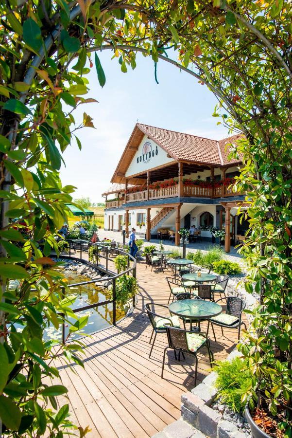 Bed and Breakfast Kotyogo Panzio Lupeni  Zewnętrze zdjęcie
