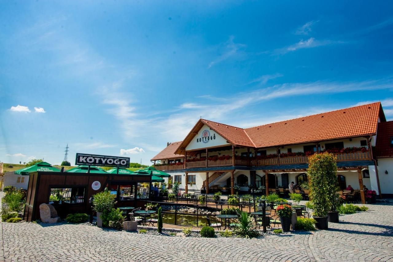 Bed and Breakfast Kotyogo Panzio Lupeni  Zewnętrze zdjęcie