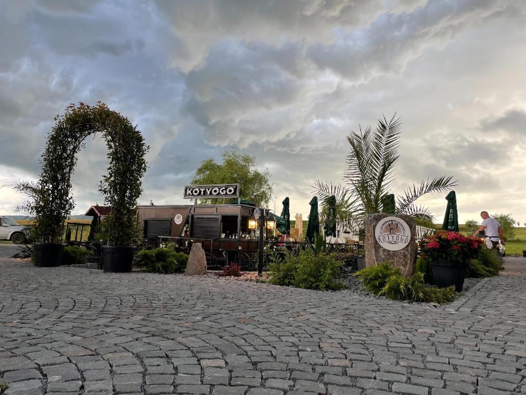 Bed and Breakfast Kotyogo Panzio Lupeni  Zewnętrze zdjęcie