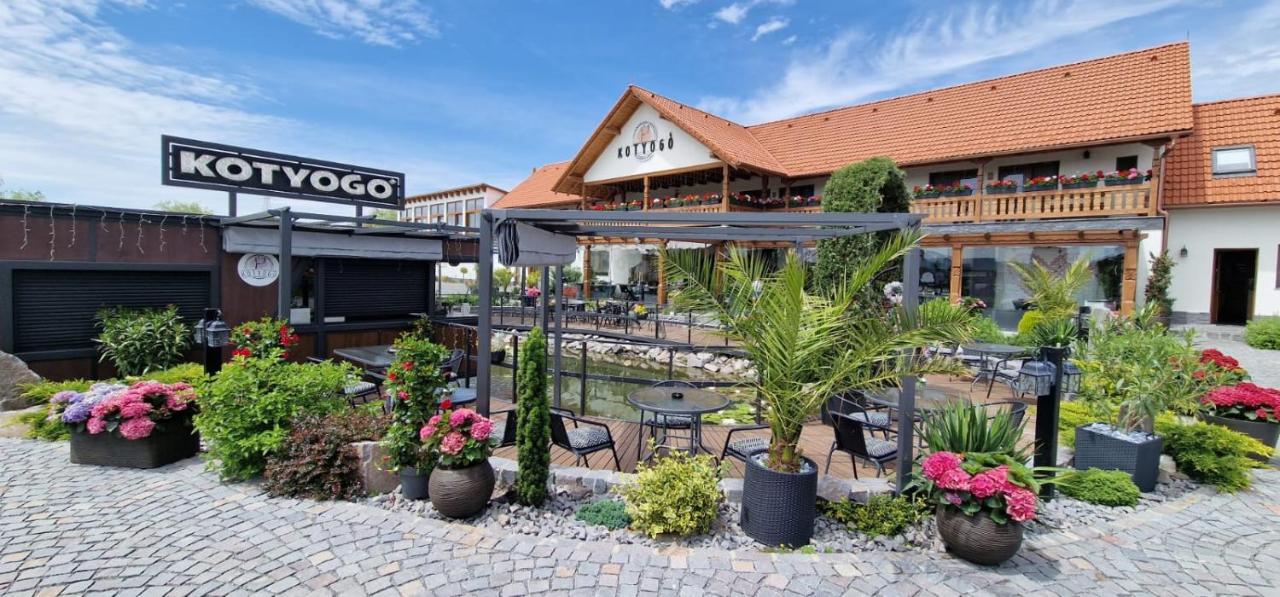 Bed and Breakfast Kotyogo Panzio Lupeni  Zewnętrze zdjęcie